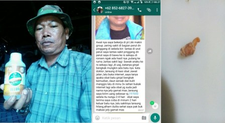 Juragan Herbal Di Magelang | Kota Magelang Jawa Tengah